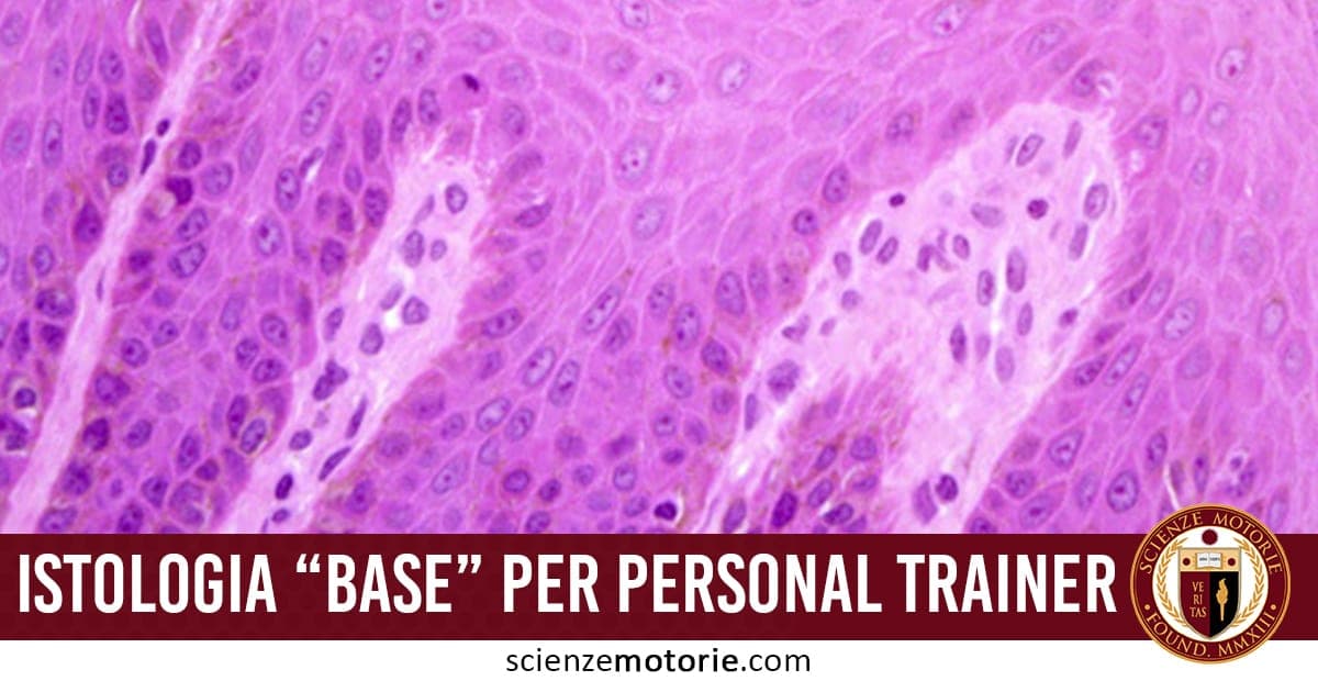 Sezione istologica in rosa e viola con strutture cellulari visibili al microscopio, con la scritta "Istologia 'base' per personal trainer".