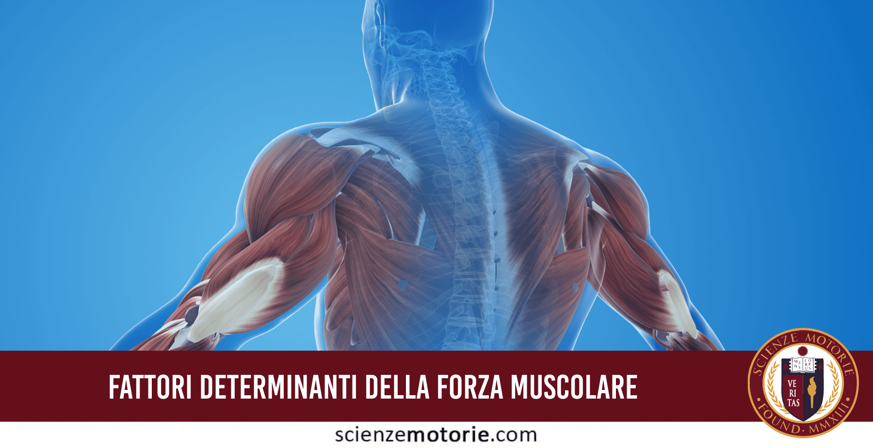 Fattori Determinanti della Forza Muscolare