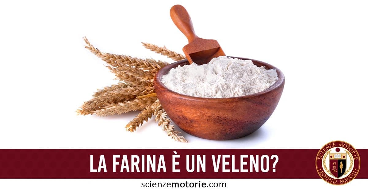 Ciotola di legno piena di farina con una spiga di grano e una piccola paletta di legno. Sotto, scritta "La farina è un veleno?" e il logo di Scienze Motorie