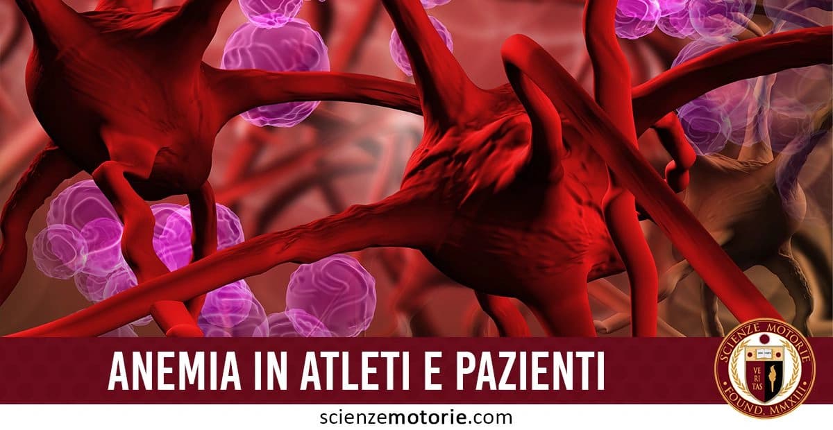 Questa immagine raffigura una rappresentazione artistica e dettagliata delle cellule del sangue, con un focus particolare sui globuli rossi. Lo sfondo astratto e dinamico valorizza il soggetto principale, evocando un’atmosfera scientifica e moderna. In primo piano compare il testo “ANEMIA IN ATLETI E PAZIENTI”, mentre in basso a destra è presente il logo di ScienzeMotorie.com