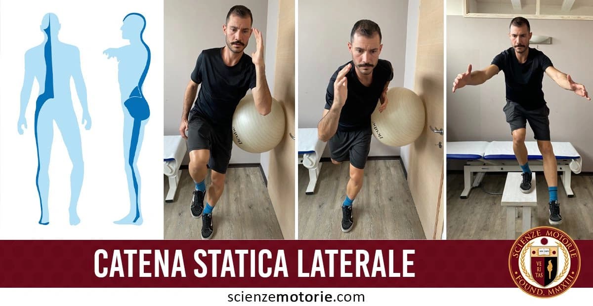 Sequenza di quattro immagini che illustrano esercizi di equilibrio e mobilità. A sinistra, un'illustrazione anatomica evidenzia aree specifiche del corpo. Nelle altre immagini, una persona esegue esercizi con una palla da ginnastica e una piattaforma di equilibrio. le immagini sono accompagnate dalla scritta "Catena statica laterale" e dal logo di ScienzeMotorie.com