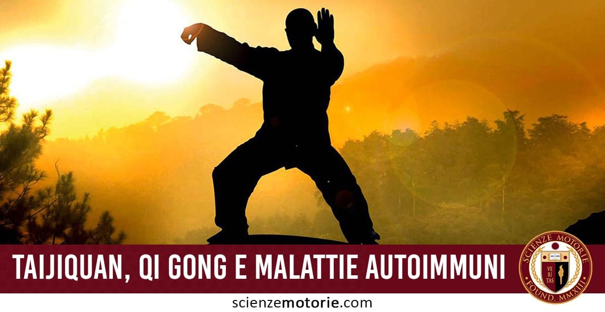 Silhouette di una persona che pratica arti marziali in un paesaggio naturale al tramonto.