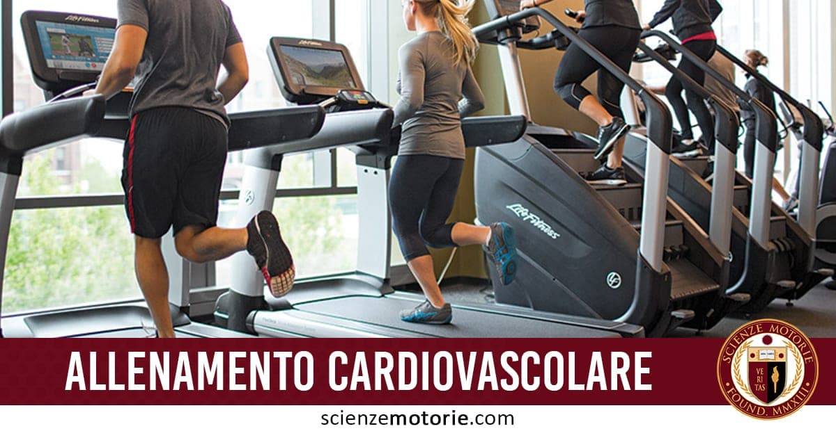 Persone che si allenano su tapis roulant in palestra durante un allenamento cardiovascolare, con testo "ALLENAMENTO CARDIOVASCOLARE" e sito scienzemotorie.com.
