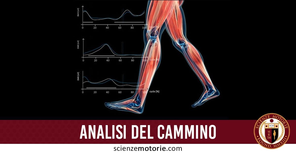 Illustrazione di gambe in movimento con evidenza di muscoli e articolazioni, accompagnata da grafici relativi all’analisi del cammino.