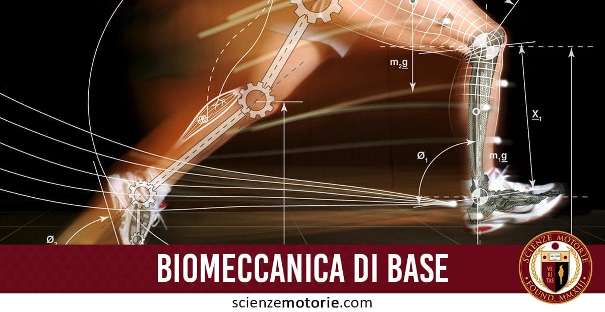 Rappresentazione grafica della biomeccanica della gamba in corsa con diagrammi, frecce, ingranaggi, testo “BIOMECCANICA DI BASE” e logo ScienzeMotorie.com.