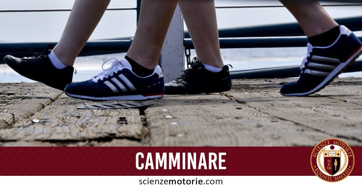 Due persone camminano su un pavimento di legno indossando scarpe sportive, con la scritta “CAMMINARE” e il logo di scienzemotorie.com in basso.