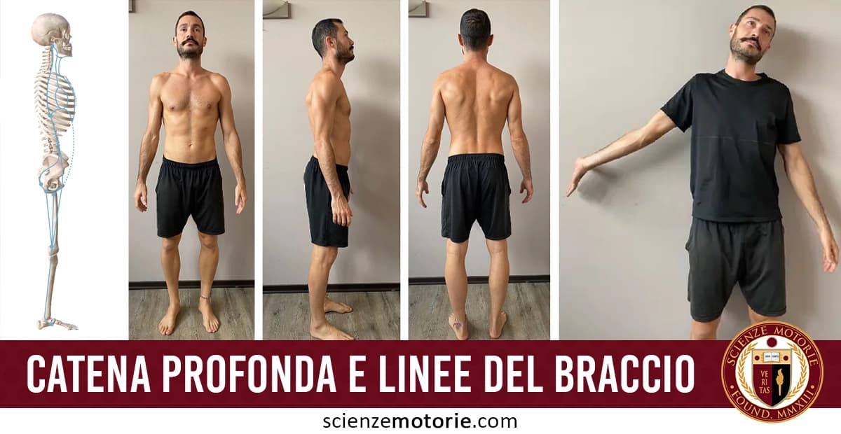 Sequenza di cinque immagini che mostrano un'analisi posturale: uno scheletro umano visto di lato e un uomo in diverse pose (frontale, laterale, posteriore e di estensione) per valutare l'allineamento corporeo. le immagini sono accompagnate dalla scritta "Catena profonda e linee del braccio" e dal logo di ScienzeMotorie.com