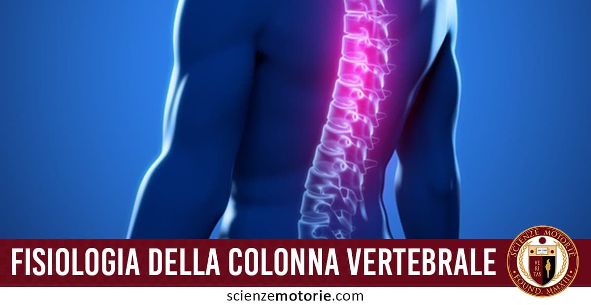 Illustrazione medica della colonna vertebrale umana vista di lato evidenziata in rosa su figura blu, con testo “Fisiologia della Colonna Vertebrale” e logo Scienze Motorie.