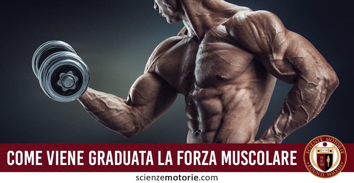 Persona muscolosa che solleva un manubrio durante un esercizio di forza muscolare, con testo “Come viene graduata la forza muscolare” e logo Scienze Motorie.