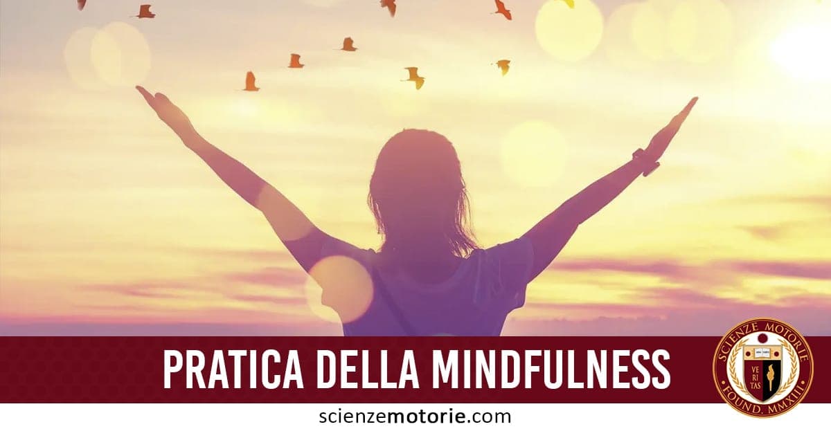 L’immagine mostra una persona vista di spalle con le braccia alzate verso il cielo durante un alba o tramonto. Il cielo caldo è animato dal volo di uccelli in formazione, creando un'atmosfera di libertà e serenità, ideale per riflessioni personali e introspezione.