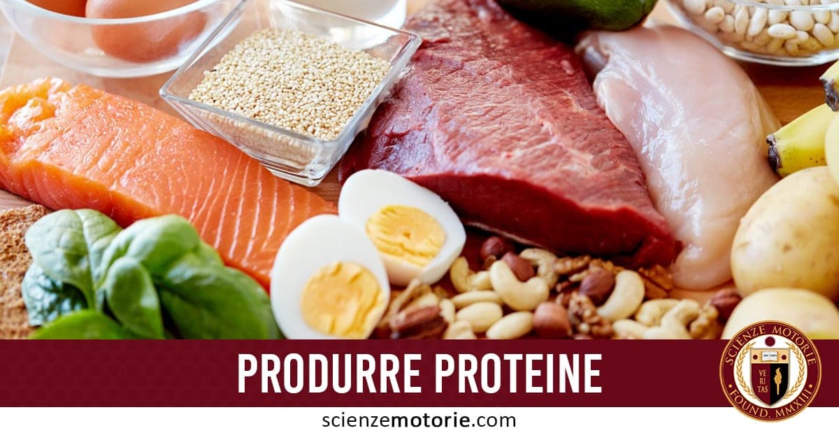 Varietà di alimenti ricchi di proteine, tra cui salmone, carne rossa, pollo, uova, noci, semi, spinaci e patate, con scritta “PRODURRE PROTEINE”.