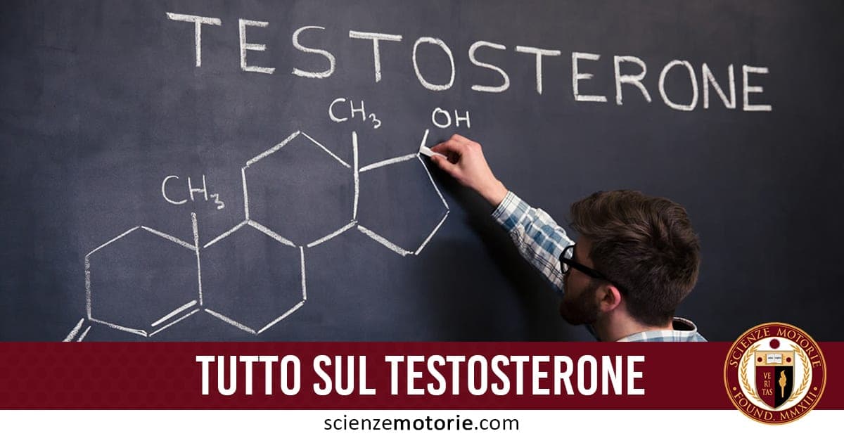Uomo di profilo che disegna su una lavagna la struttura chimica del testosterone con gruppi CH₃ e OH, scritta “TUTTO SUL TESTOSTERONE” su banner rosso e logo scienzemotorie.com.
