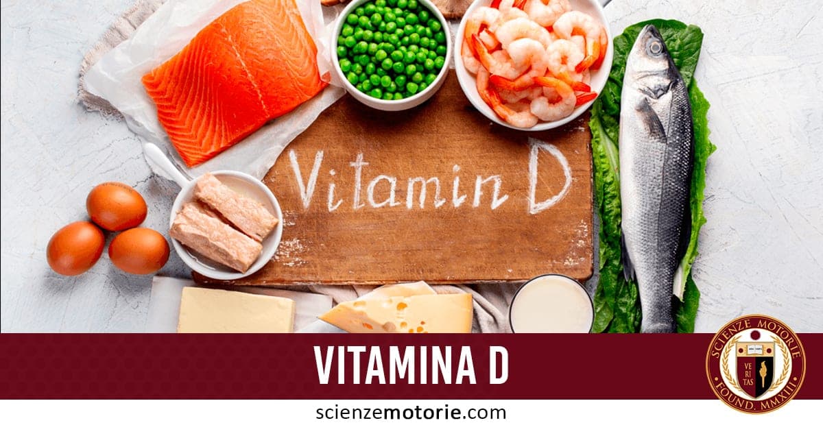 Alimenti ricchi di vitamina D come salmone, uova, pesce, latte, formaggio e tonno disposti attorno alla scritta "Vitamin D", con logo ScienzeMotorie.com.