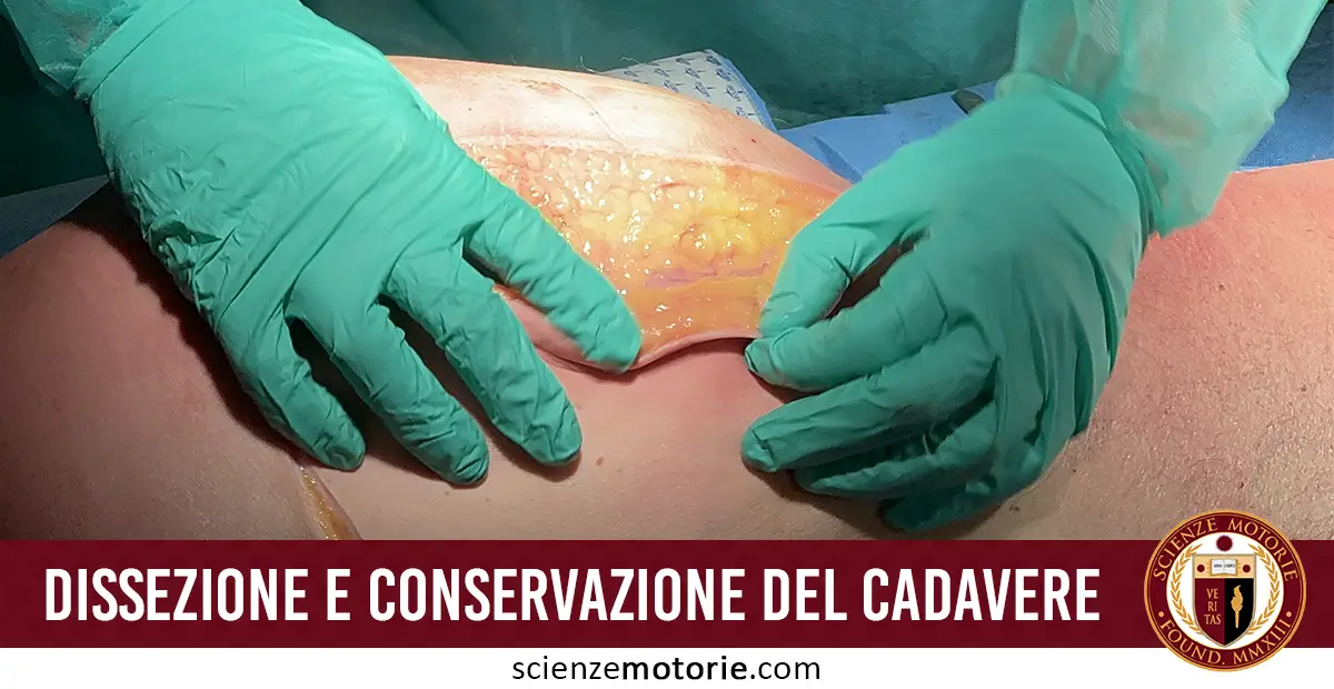 Dissezione e conservazione del cadavere