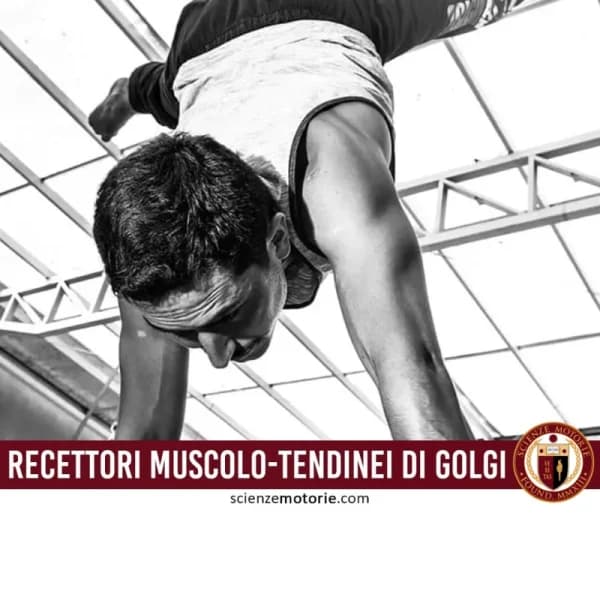 Persona in posizione capovolta sostenuta sulle mani durante un’acrobazia, con struttura metallica sullo sfondo. In basso la scritta “RECETTORI MUSCOLO-TENDINEI DI GOLGI” e il logo Scienze Motorie.
