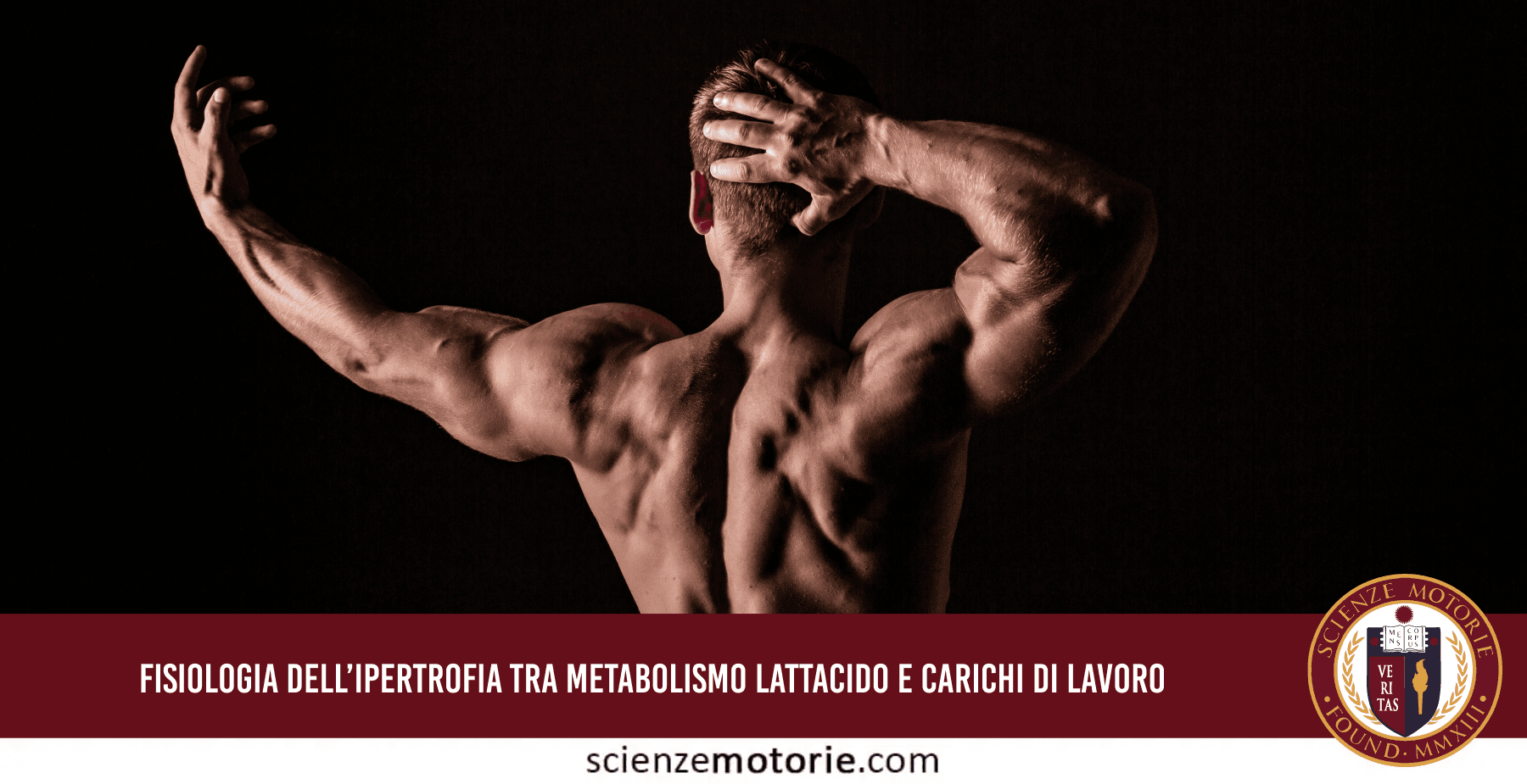 Fisiologia dell’Ipertrofia tra Metabolismo Lattacido e Carichi di Lavoro