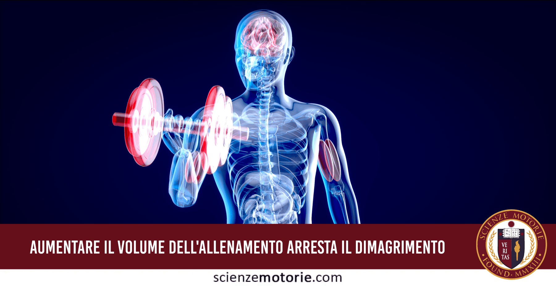 Allenamento e Dimagrimento: Perché l'Alta Intensità è Fondamentale
