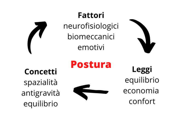 Postura E Posturologia: Distinzioni E Approfondimenti > Scienze Motorie